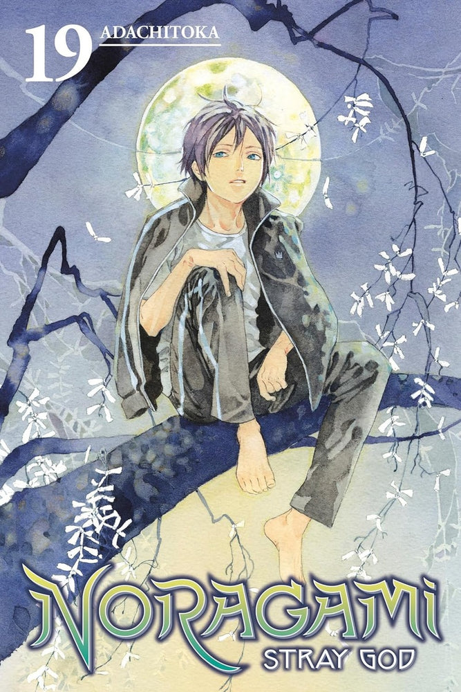 Noragami: Stray God 19