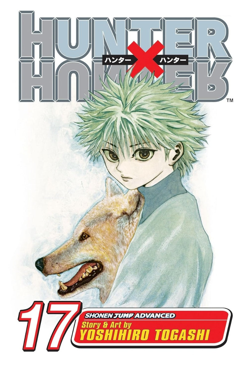 Hunter x Hunter, Vol. 17: A Fierce Three-Way Struggle