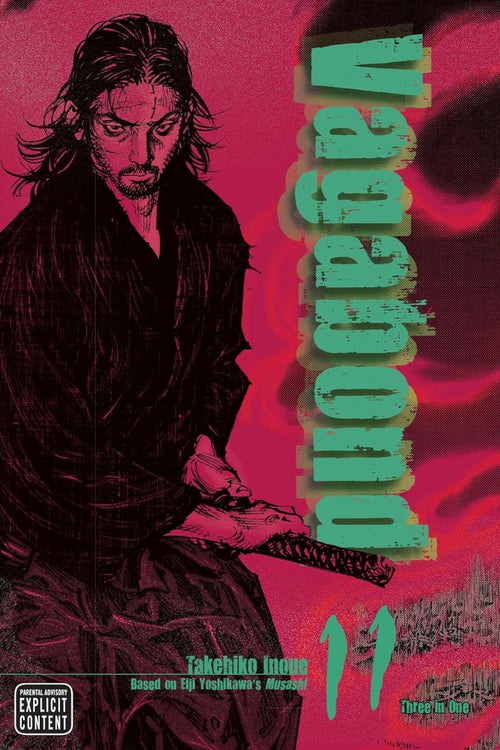 Vagabond, Vol. 11