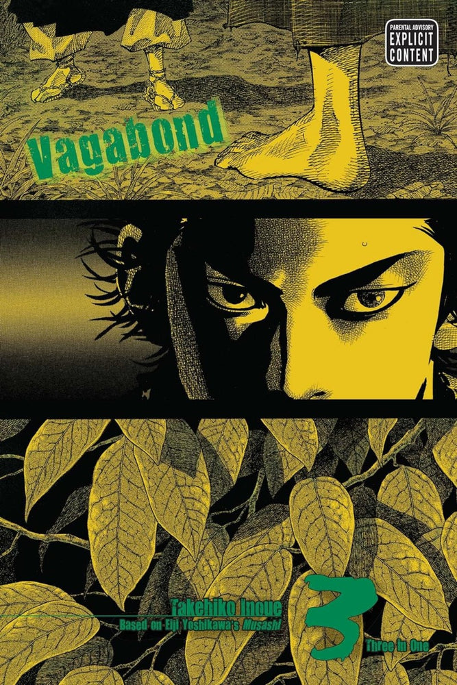 Vagabond, Vol. 3