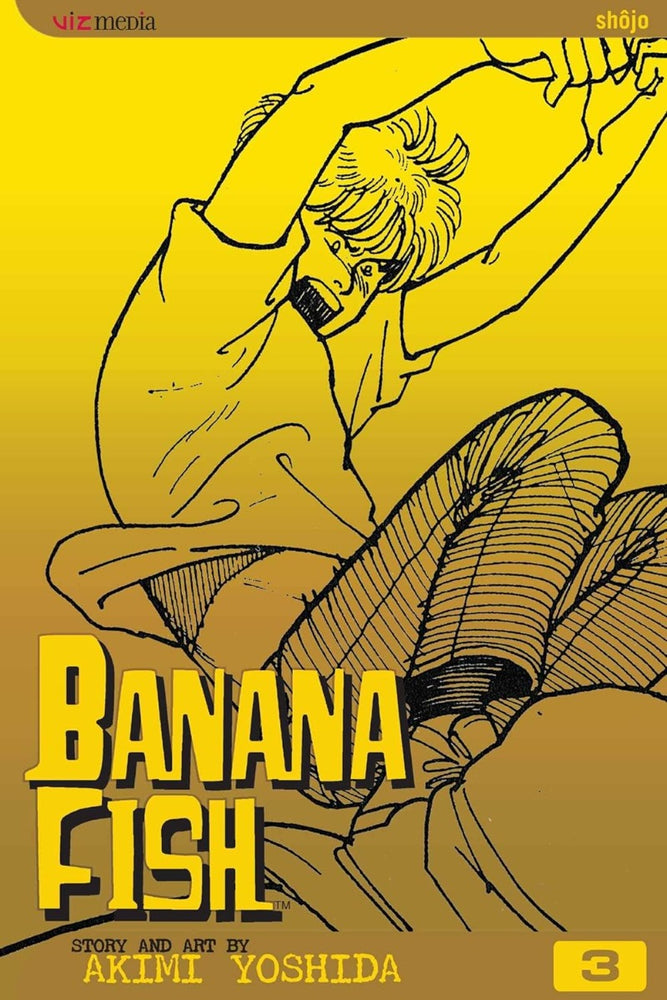 Banana Fish, Vol. 3