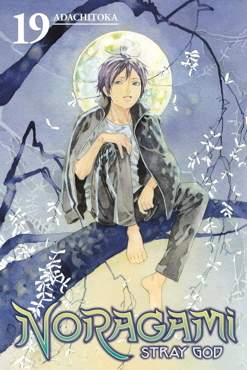 Noragami: Stray God 19