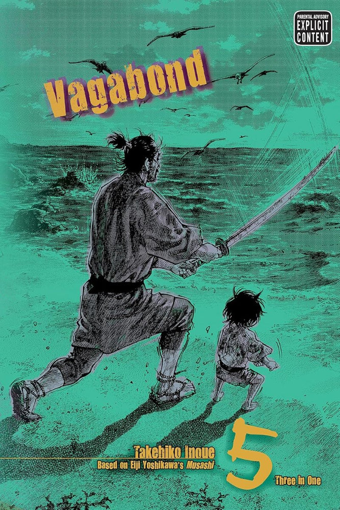 Vagabond, Vol. 5