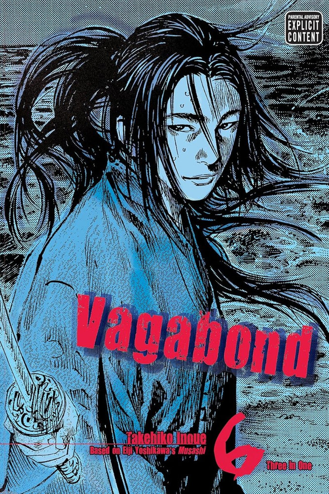 Vagabond, Vol. 6