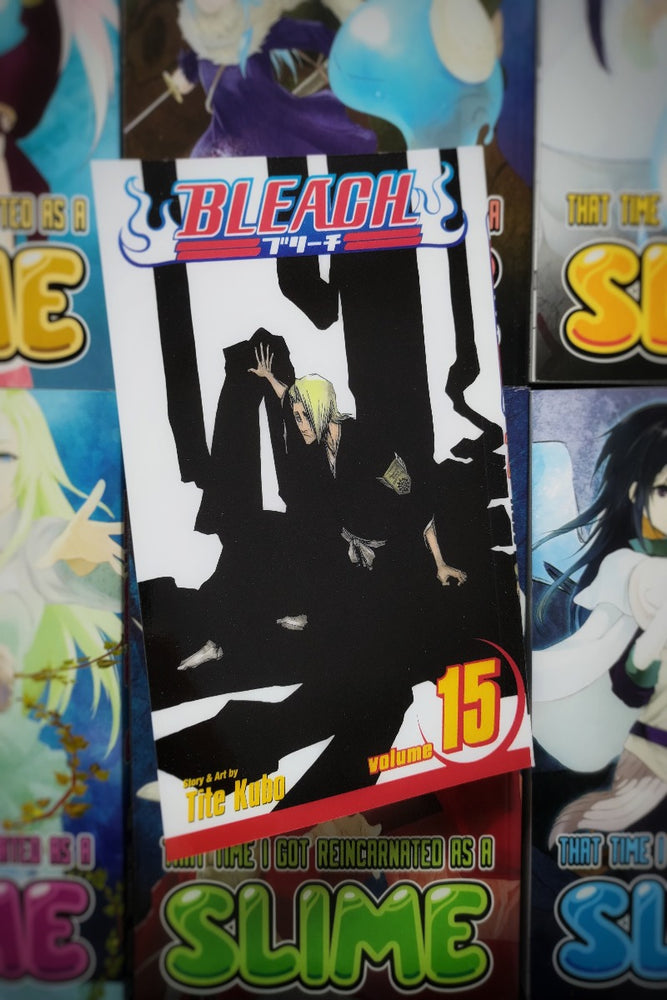 Bleach - volume 15