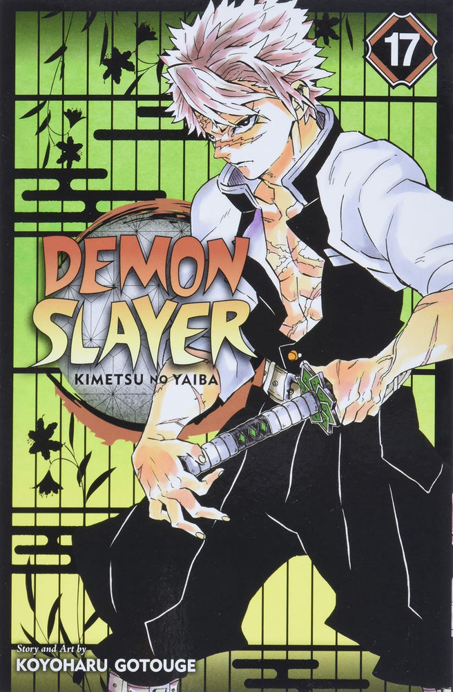 Demon Slayer: Vol. 17