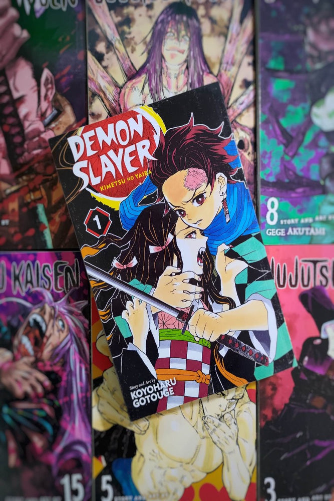 Demon Slayer: Vol. 1