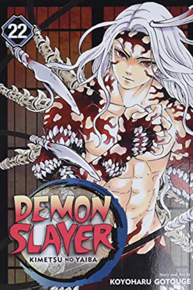 Demon Slayer: Vol. 22