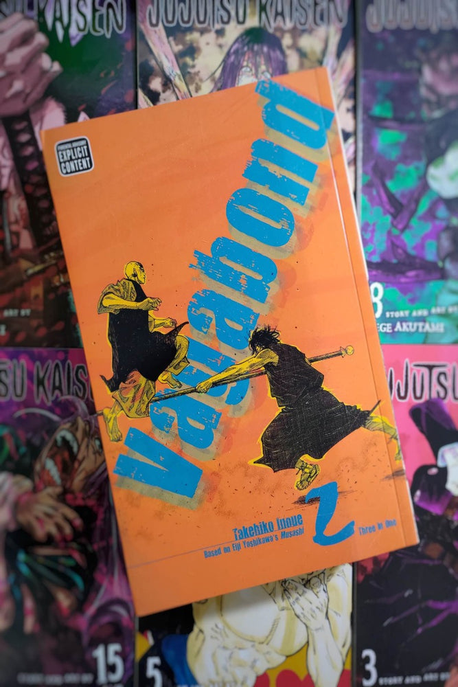 Vagabond, Vol. 2